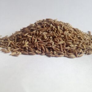 cumin, white cumin, herbs, ayurveda, medicinal herbs, healthy, cumin, cumin, cumin, cumin, cumin