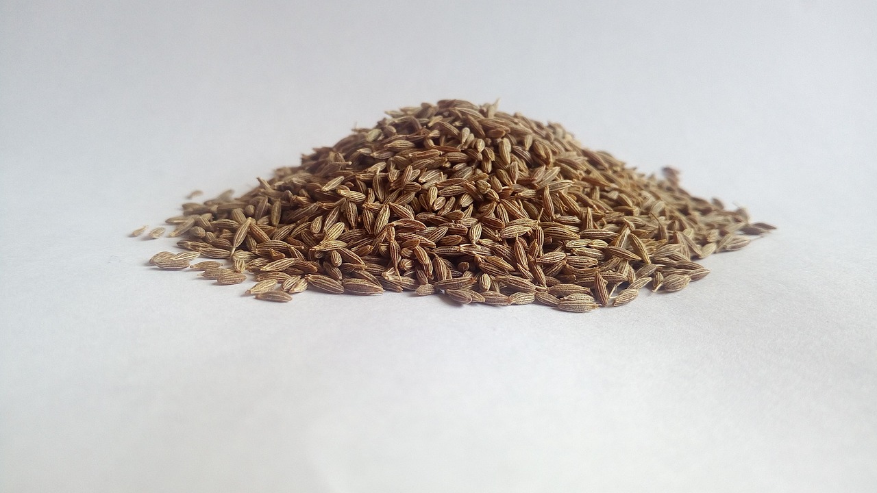 cumin, white cumin, herbs, ayurveda, medicinal herbs, healthy, cumin, cumin, cumin, cumin, cumin